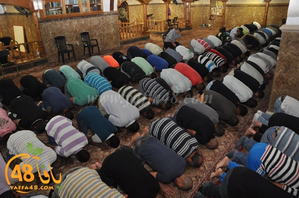 kaber yaffa js (6).JPG